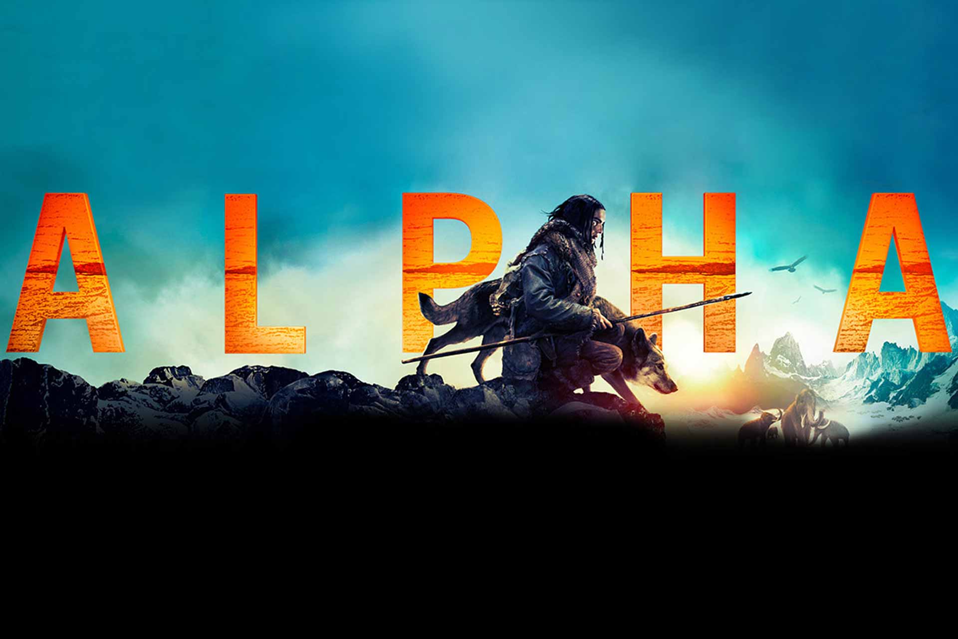 فیلم سینمایی آلفا (ALPHA) در بوشهر